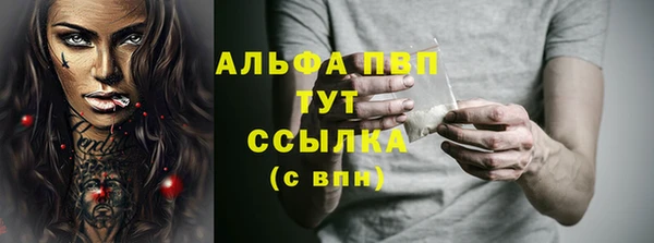 стафф Заводоуковск