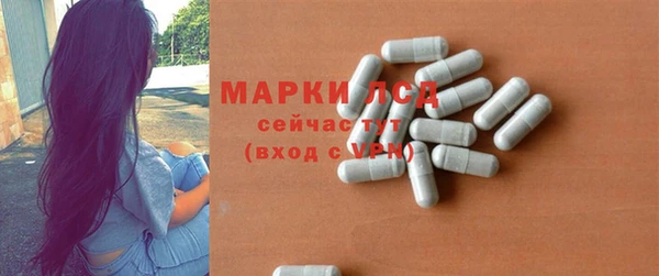 стафф Дмитриев