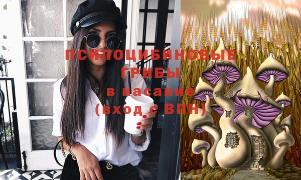 эйфоретик Дмитровск