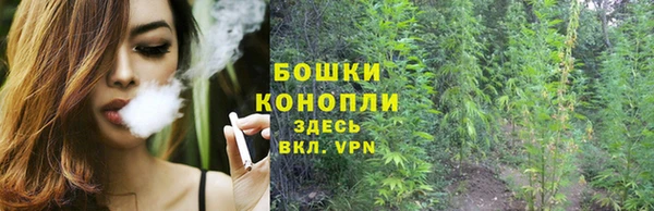 стафф Дмитриев