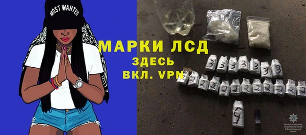 стафф Дмитриев